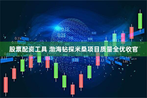股票配资工具 渤海钻探米桑项目质量全优收官